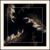 CALYPSO_winter