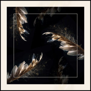 CALYPSO_winter