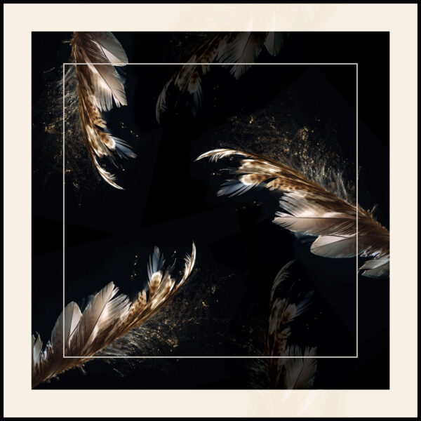 CALYPSO_winter