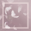 Cipria_poliviscosaultimo LILAC_summer