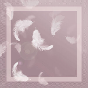 LILAC_summer